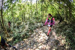 BIB: 
                            <button type="button" onclick="openModal(7023890)" class="btn btn-primary btn-sm float-right btn-popup" data-toggle="modal" data-target=".modal-high-quality">
                        <i class="fas fa-shopping-cart"></i> Add to Cart
                    </button>
                                            <button type="button" onclick="isThisMe(7023890, true)" class="btn btn-success btn-sm float-right btn-popup btn-isme hidden" data-toggle="tooltip" data-placement="bottom" title="นี่คือรูปของคุณใช่ไหม คลิกที่นี่เพื่อเอาเข้าอัลบั้ม">
                        <i class="fas fa-plus"></i> Add to album
                    </button>
                    <button type="button" onclick="isThisMe(7023890, false)" class="btn btn-warning btn-sm float-right btn-popup btn-isnotme hidden">
                        <i class="fas fa-ban"></i> Remove from album
                    </button>